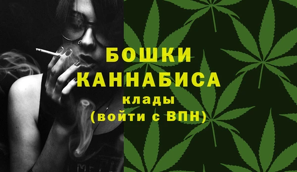 дживик Аркадак