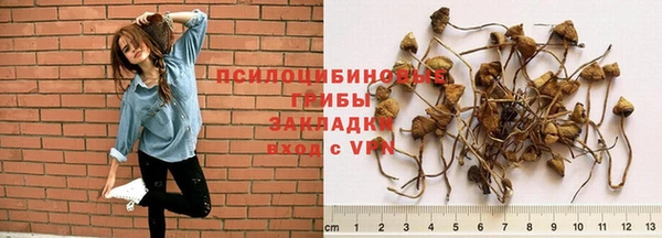 дживик Аркадак